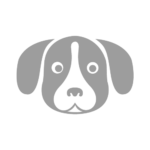 puppy puppy